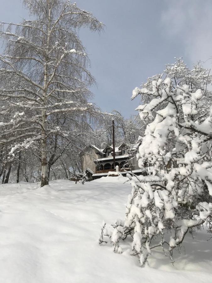 Kuca Za Odmor ,,Balkan” Crni Vrh Экстерьер фото