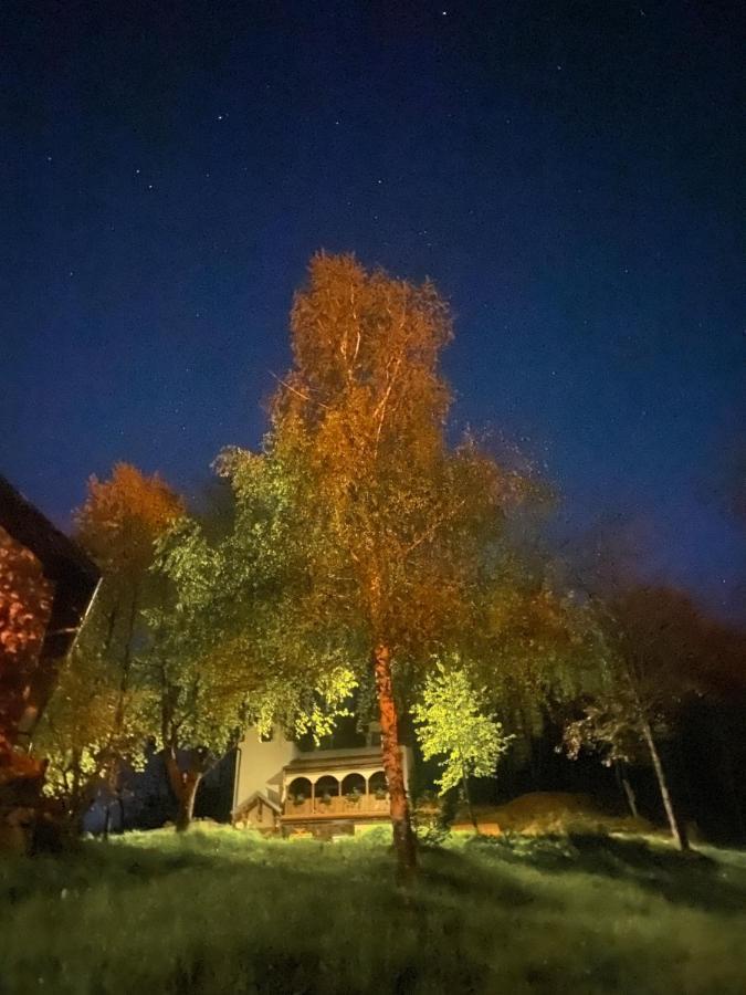 Kuca Za Odmor ,,Balkan” Crni Vrh Экстерьер фото