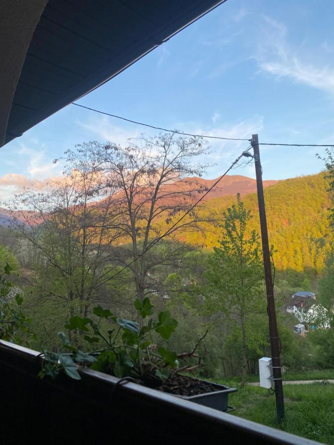 Kuca Za Odmor ,,Balkan” Crni Vrh Экстерьер фото